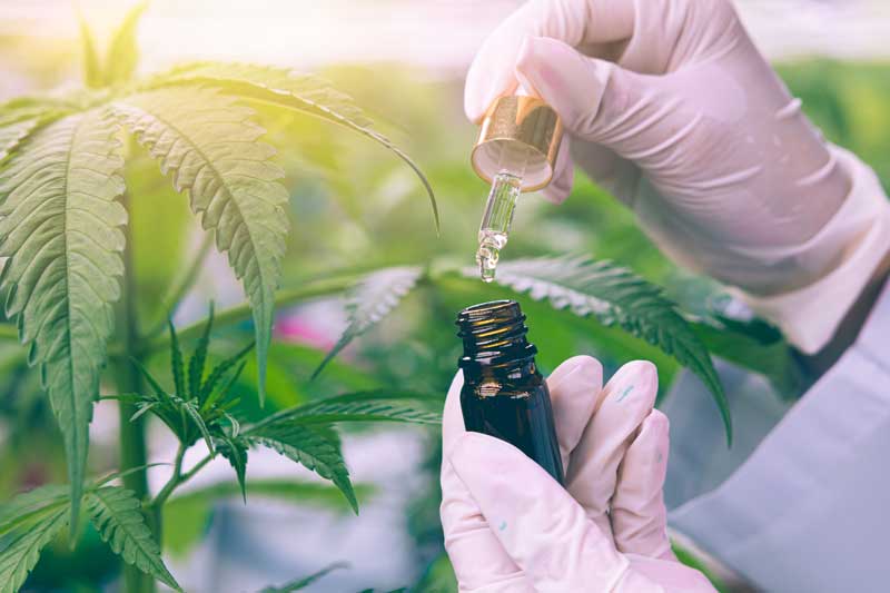 A doctor in gloves holding an oil bottle.