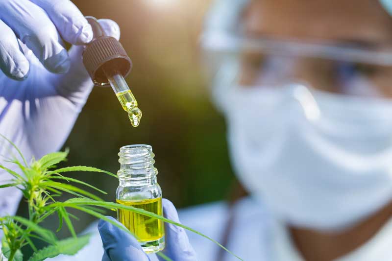 A doctor holding a bottle of cannabis oil.